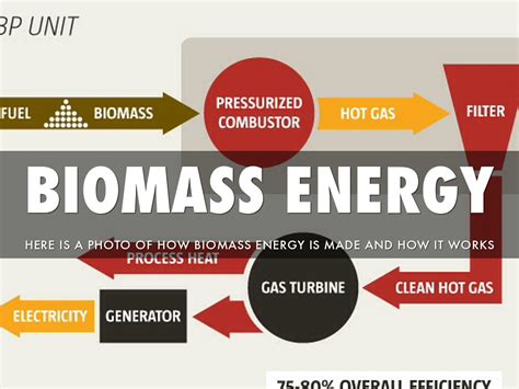 The resulting heat can produce steam, which powers. Biomass Energy by Seini Hau