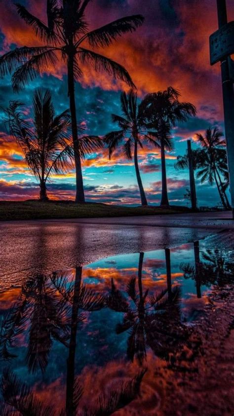 Tropical Sunset Sunset Photography Beautiful Landscapes Beautiful