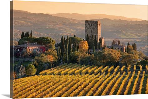 Italy Tuscany Brunello Wine Road Orcia Valley Sangiovese Vineyards