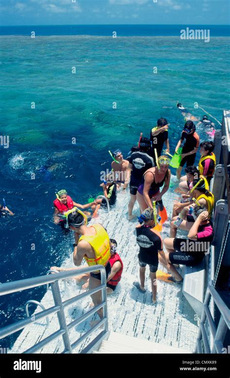 Snorkeling Great Barrier Reef Queensland Australia Stock Photo Alamy