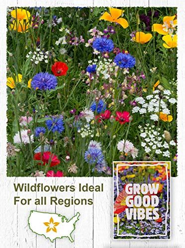 American Meadows Wildflower Seed Packets Grow Good Vibes Party
