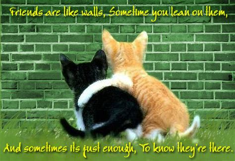 Discover and share cat friendship quotes. CeeVee's Corner: Friendship day thoughts!