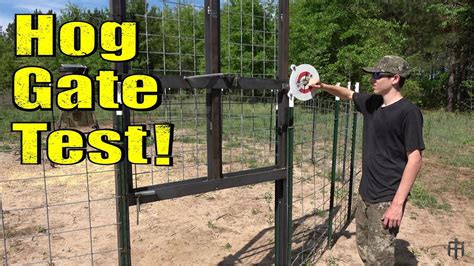Hog Trap Gate Testing And Install Youtube
