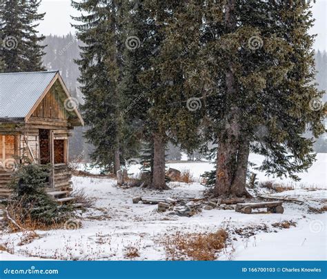 Mountain Cabin In Winter Surrounded By Pine Trees With Snow On The