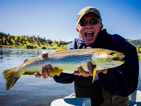 Head east to the kiewa river in summer for more superb fly fishing. MISSOURI RIVER MONTANA Fly Fishing | Headhunters Fly Shop ...