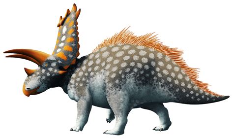 Ceratopsian Month 25 Pentaceratops Sternbergiidespite Its Name
