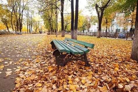 Autumn Park Leaves Bench Landscape City Pikist