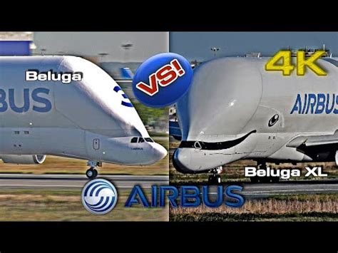 Airbus completes first test flight of beluga xl 'flying whale'. Airbus Beluga Versus Beluga XL (Video & Data) - YouTube