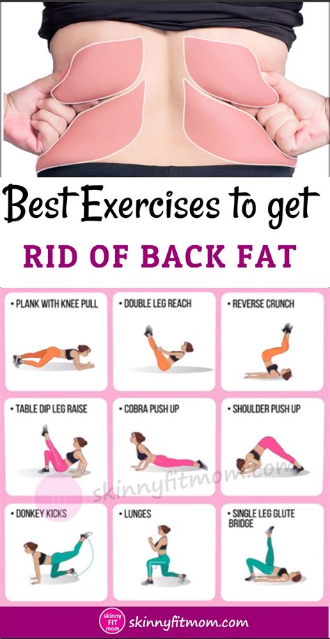 5 day back fat exercises at home no equipment for fat body fitness and workout abs tutorial