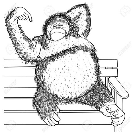 The Best Free Orangutan Drawing Images Download From 63 Free Drawings Of Orangutan At Getdrawings