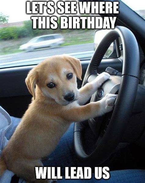 Maybe you would like to learn more about one of these? 104 Funny and Cute Happy Birthday Memes to Send to Friends and Family - Inspirationfeed