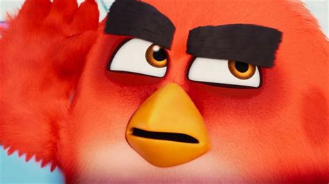 Angry Birds Une Série Animée Bientôt Sur Netflix News Séries Allociné