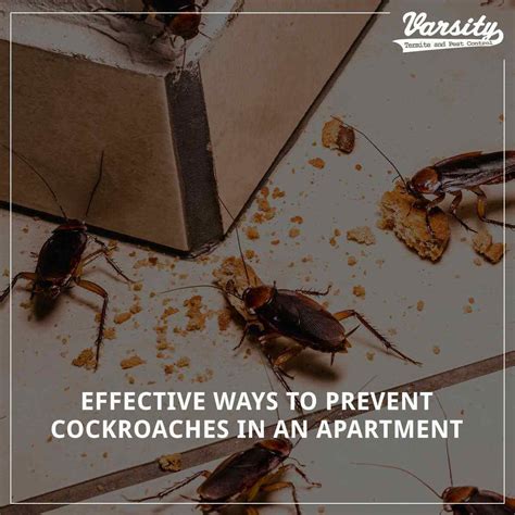 Pest And Termite Control Blog