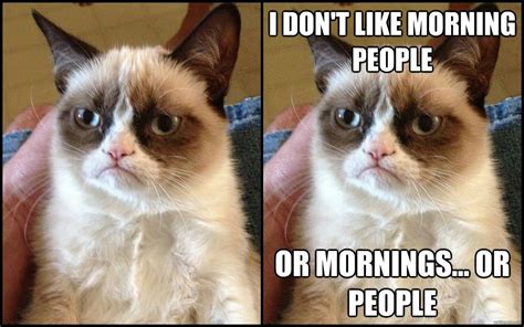 Grumpy Cat And Why It Went Viral Ioanna Aggelidaki Grumpy Cat Good