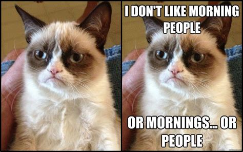 The cat presented his tummy then bit you. Grumpy cat and why it went viral - ioanna aggelidaki ...