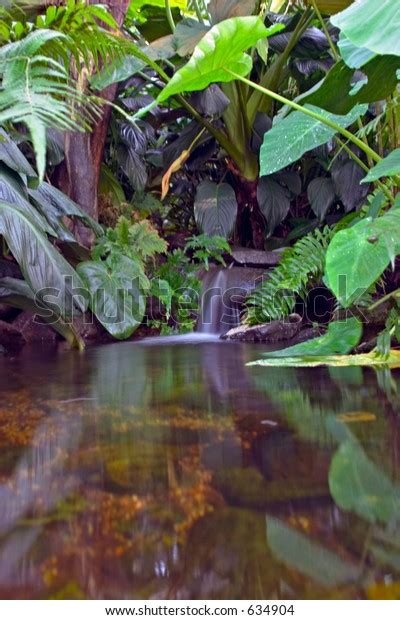 Tropical Rainforest Waterfall Stock Photo 634904 Shutterstock