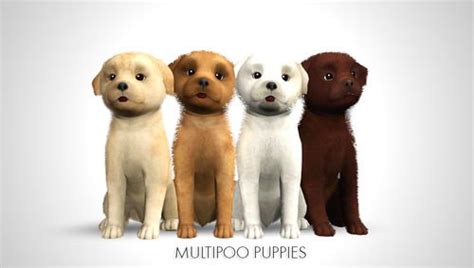 Selling your kittens and puppies. Multipoo Puppies by morganabanana - Sims 3 Downloads CC ...