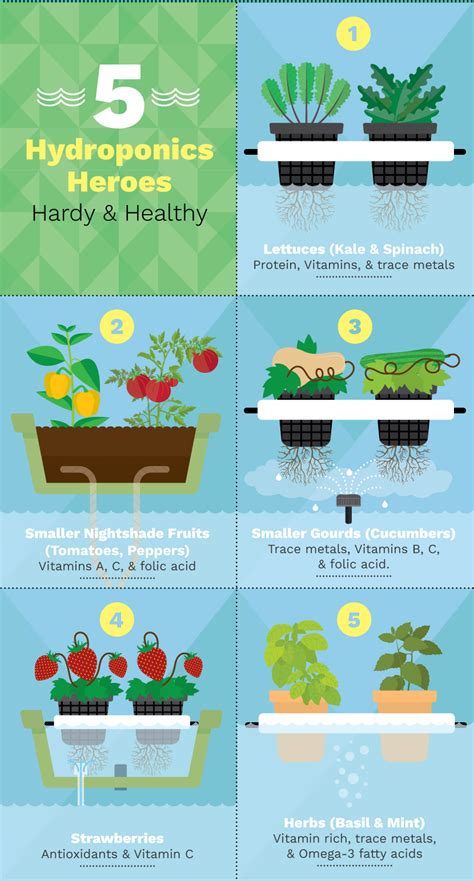 Growing Food With Hydroponic Gardening