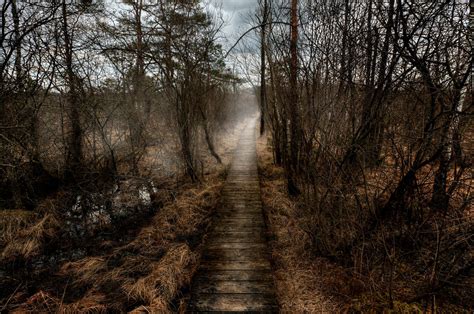 Pathway Through The Marshes By Burtn On Deviantart