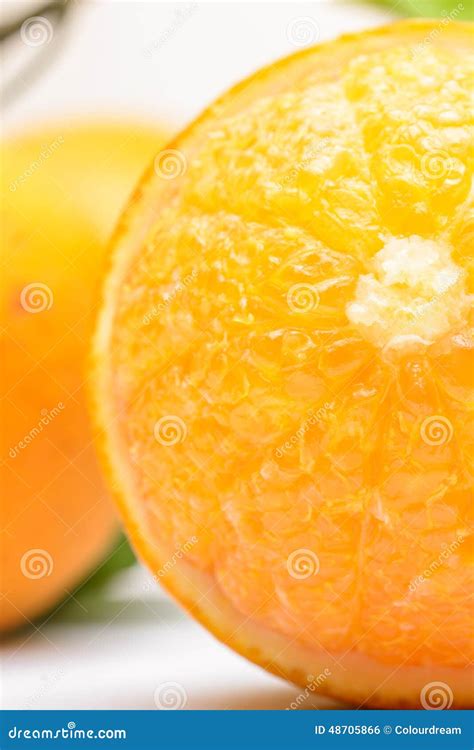 Close Up Of Fresh Orange Stock Photo Image Of Macro 48705866