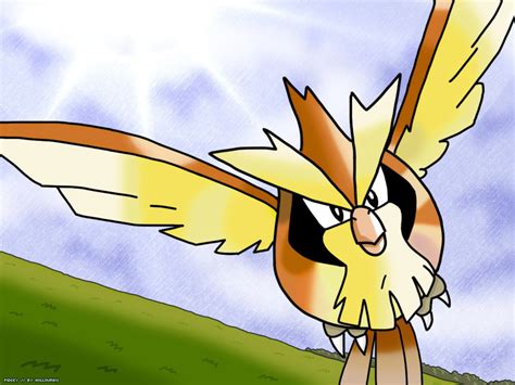 Pokemon Ruby Pokedex: 7/12/09 - 7/19/09