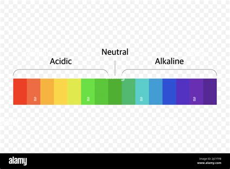 Diagramm Der Universellen Ph Skala Für Den Ph Indikator Vektorgrafik