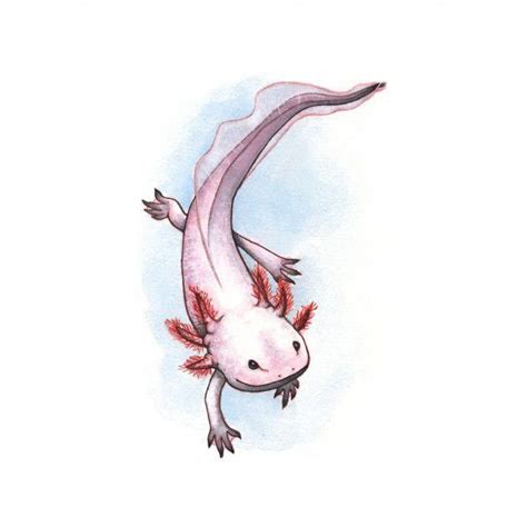 Bodyartideas Animal Drawings Axolotl Cute Art