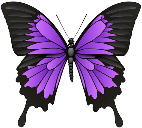 Purple Butterfly Clip Art 10 Free Cliparts Download Images On