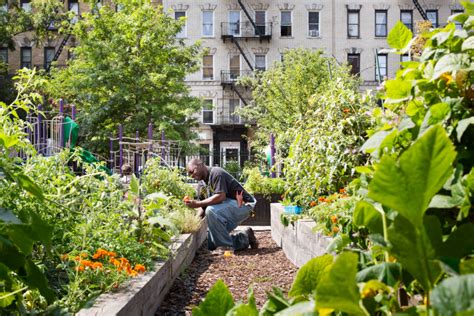 Most community gardens are the size of a single lot (just a fraction of an acre), but there are a few like liz christy garden that have blossomed into. 103rd Street Community Garden - SCAPE
