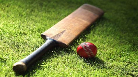 baroda women s cricket coach suspended for sexual harassment