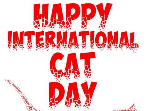 Happy International Cat Day By Badr Tiyane On Dribbble