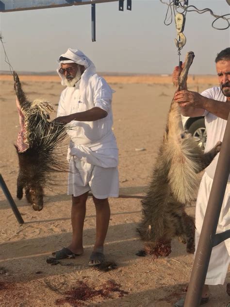 وبعد حذف أبنائه صور الحياة الباذخة من موقع انستغرام، نشر مخلوف منشورا على فيسبوك وتقول النظرية إن الأسد لا يريد أن يفقد حماية بوتين، ورامي مخلوف ليس سوى ضحية. سيف النوفلي on Twitter: "ضاربين بقانون حماية الحياة ...