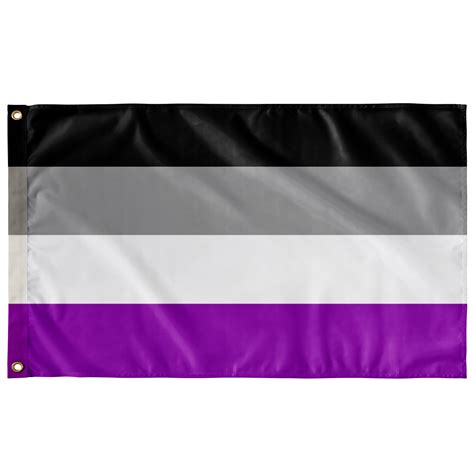 Business Signs Asexual Pride Flag 3 X 5 Business And Industrial
