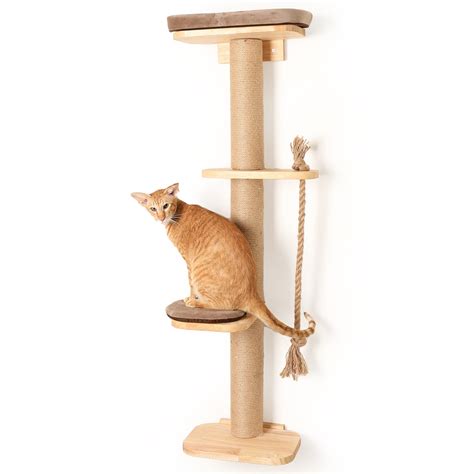 Buy Fukumaru Cat Scratching Activity Tree Wall Ed 51 Cat Scratch Post