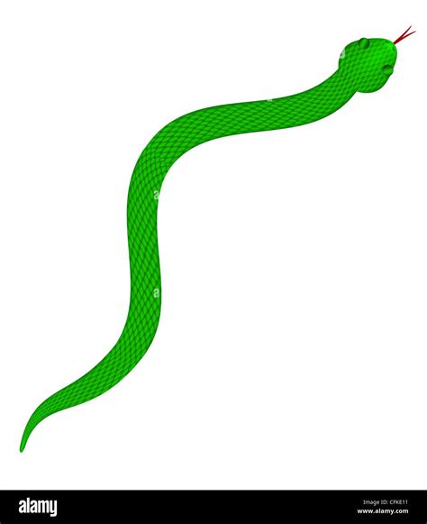 Snake Cartoon Hi Res Stock Photography And Images Alamy