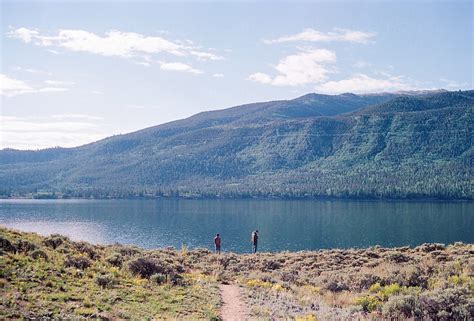 Two Young Men Overlooking Beautiful Lake In Front Of Vast Coniferous