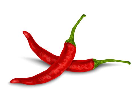 Chili pepper isolated on white 435502 Vector Art at Vecteezy