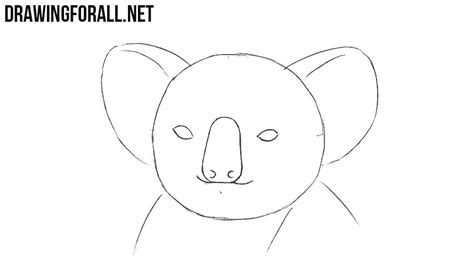 The animal cell structure is the most prominent in human cheek cells. How to Draw a Koala Head | Drawingforall.net