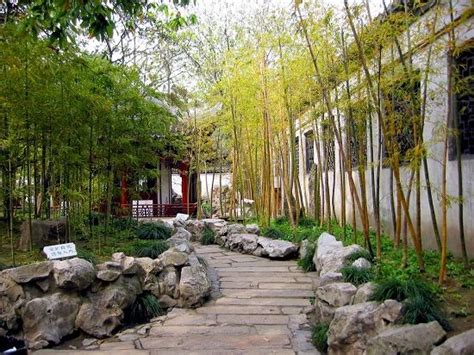 Unique bamboo garden ideas theradmommy com source theradmommy.com. 70 bamboo garden design ideas - how to create a picturesque landscape