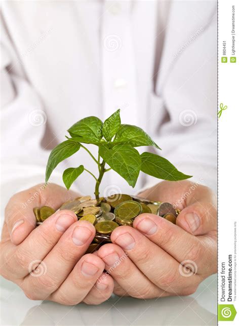 Good Investment And Money Concept Stock Image Image Of Grow Abstract