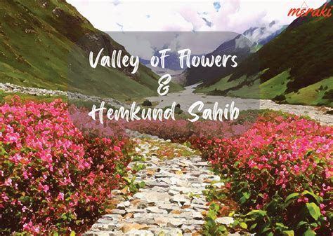 Valley Of Flowers Trekking Tour From Joshimath Deluxe Hemkund