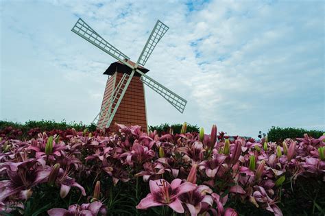 Fromyouflowers.com has been visited by 10k+ users in the past month Top 5 Places to Visit in Taichung - Darren Bloggie 達人的部落格