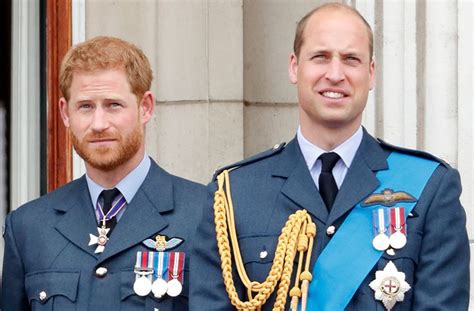 prince william and prince harry reunite in honour of princess diana woman and home