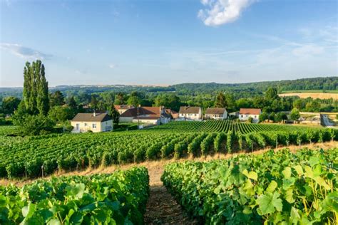 The Best Wine Regions Of France Oliver S Travels