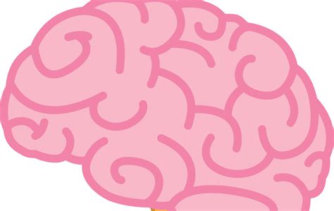 Cerebro De Idea Vector Rosa Png Cerebro Cerebro Humano Cerebro Png