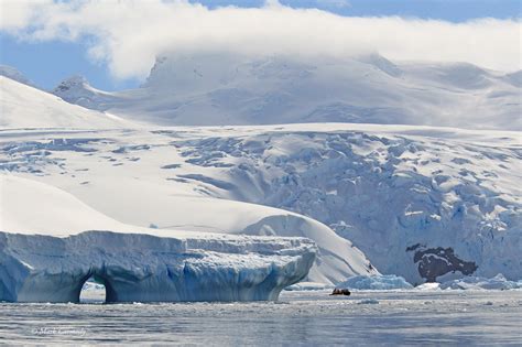 Zenfolio Images By Mark Carmody Day 18 Cierva Cove The Antarctic
