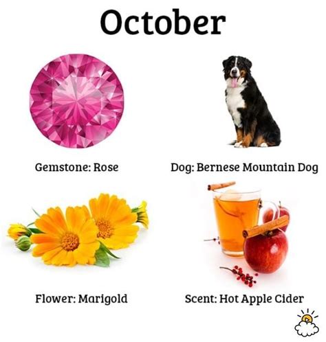 Each Birth Month Has A Special Dog Scent Gem And Flower Whats