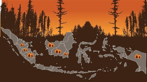 Sejauh Mana Kebakaran Hutan Di Kalimantan Terjadi Agroindustri