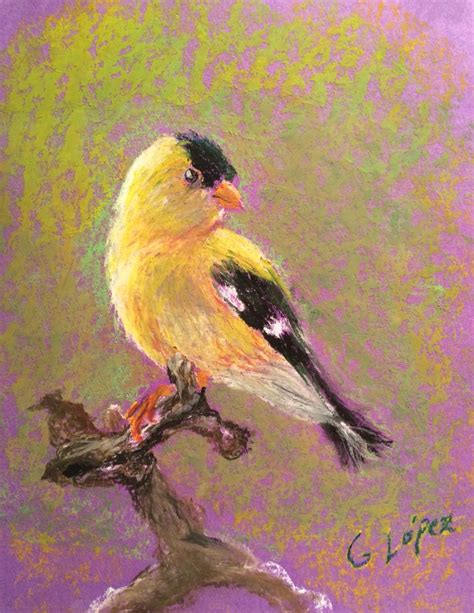 Yellow Bird Study Oil Pastels Frases