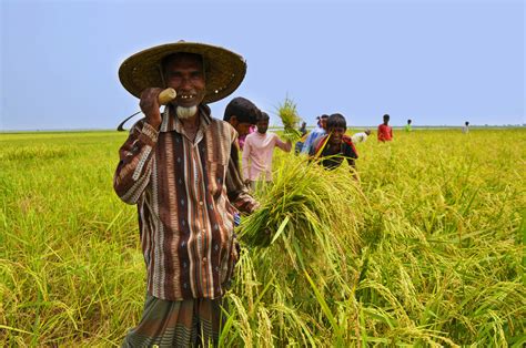 Mobile Phones Usefulness Among Farmers In Southern Bangladesh Comdevasia